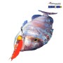 JUKUSEI AQUA SWIM SHRIMP 4" J04
