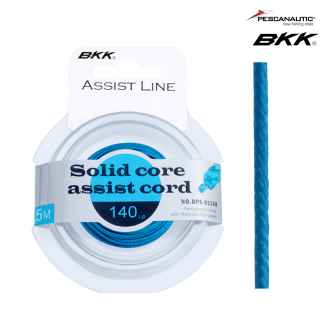 Tresse pour assist Solid Core 100 LB (5m)